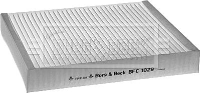 Borg & Beck BFC1029 - Filtro, Aria abitacolo www.autoricambit.com