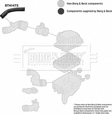 Borg & Beck BTH1475 - Flessibile d'aspirazione, Filtro aria www.autoricambit.com
