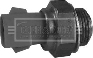 Borg & Beck BTS824.99 - Termostato, ventola del radiatore / climatizzatore www.autoricambit.com