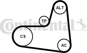 Continental 6PK1005K1 - Kit Cinghie Poly-V www.autoricambit.com