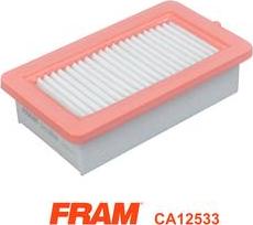FRAM CA12533 - Filtro aria www.autoricambit.com