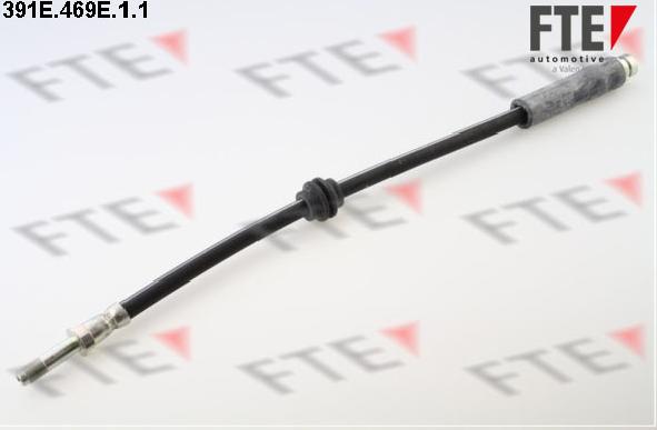 FTE 391E.469E.1.1 - Flessibile del freno www.autoricambit.com