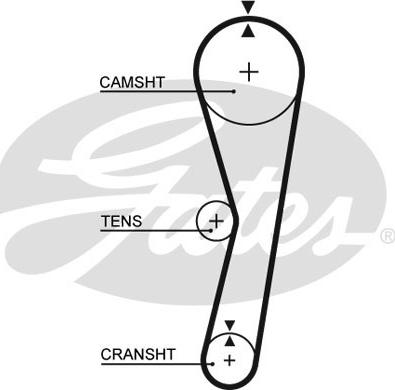 Gates 5127 - Cinghia dentata www.autoricambit.com