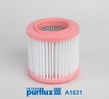 Purflux A1831 - Filtro aria www.autoricambit.com
