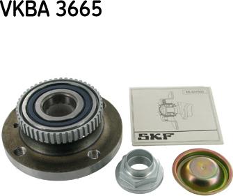 SKF VKBA 3665 - Kit cuscinetto ruota www.autoricambit.com