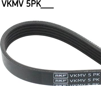 SKF VKMV 5PK1150 - Cinghia Poly-V www.autoricambit.com