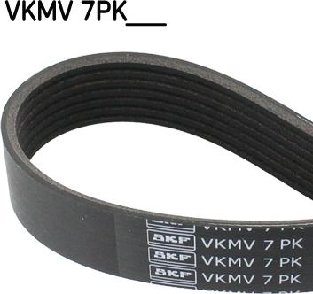 SKF VKMV 7PK1580 - Cinghia Poly-V www.autoricambit.com