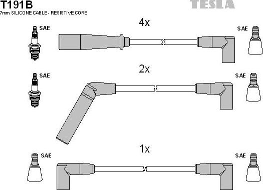 TESLA T191B - Kit cavi accensione www.autoricambit.com