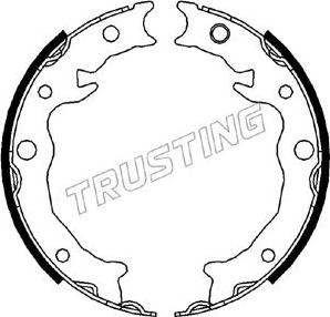 Trusting 110.343 - Kit ganasce, Freno stazionamento www.autoricambit.com
