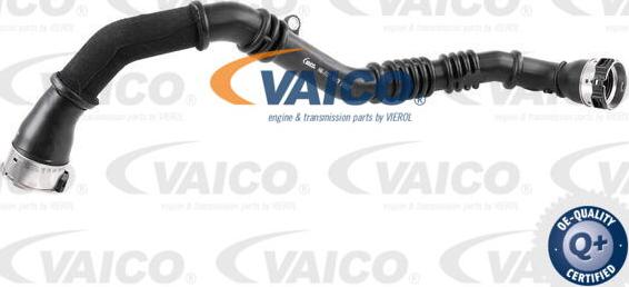 VAICO V46-1177 - Flessibile aria alimentazione www.autoricambit.com