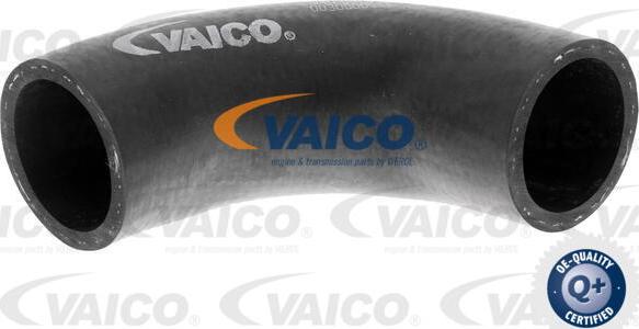VAICO V40-0375 - Flessibile radiatore www.autoricambit.com