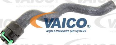 VAICO V40-1778 - Flessibile radiatore www.autoricambit.com