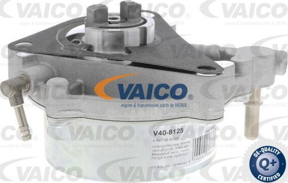 VAICO V40-8125 - Pompa depressione, Sistema frenante www.autoricambit.com