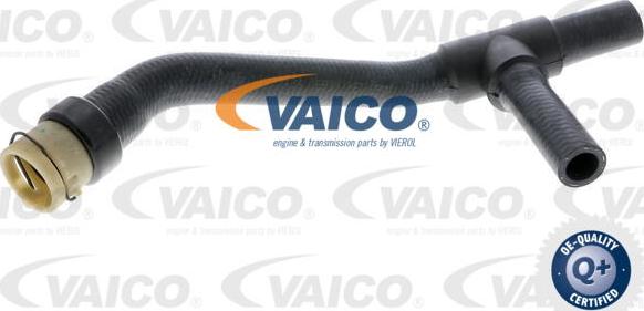 VAICO V40-2007 - Flessibile radiatore www.autoricambit.com