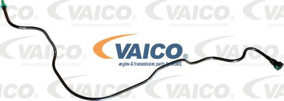 VAICO V42-0956 - Condotto carburante www.autoricambit.com