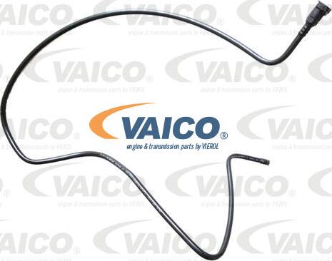 VAICO V42-0953 - Condotto carburante www.autoricambit.com