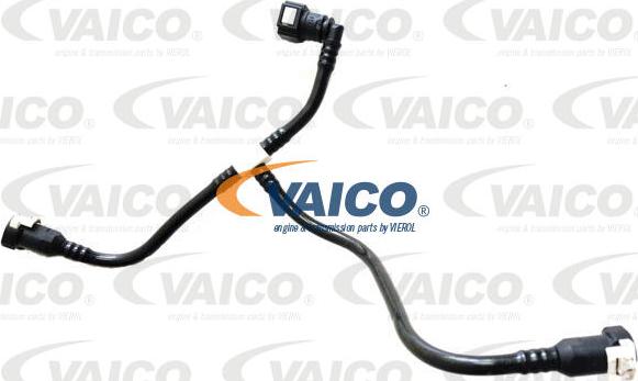 VAICO V42-0962 - Condotto carburante www.autoricambit.com