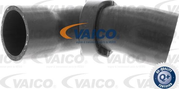 VAICO V42-0613 - Flessibile aria alimentazione www.autoricambit.com