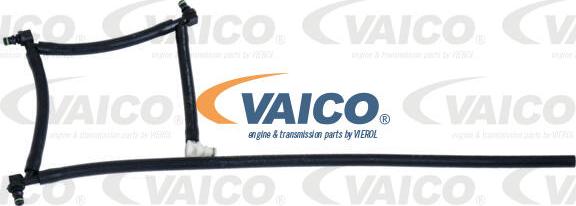 VAICO V42-0862 - Flessibile, Carburante perso www.autoricambit.com