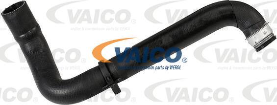 VAICO V42-0758 - Flessibile radiatore www.autoricambit.com