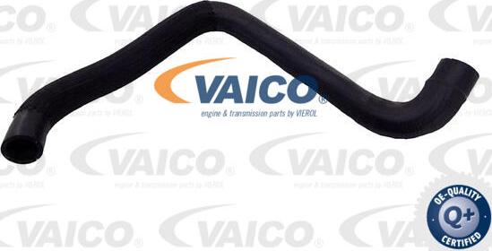 VAICO V42-1012 - Flessibile radiatore www.autoricambit.com