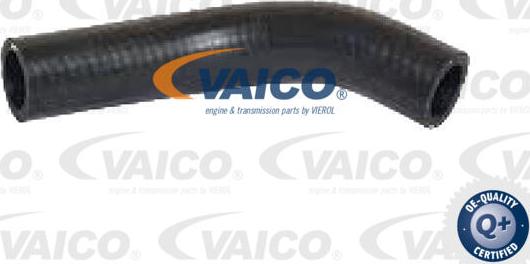 VAICO V42-1027 - Flessibile radiatore www.autoricambit.com
