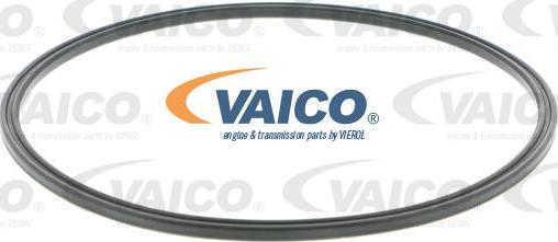 VAICO V10-4417 - Guarnizione, Sensore livello carburante www.autoricambit.com