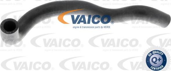 VAICO V10-4653 - Flessibile radiatore www.autoricambit.com