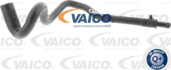 VAICO V10-4663 - Flessibile radiatore www.autoricambit.com