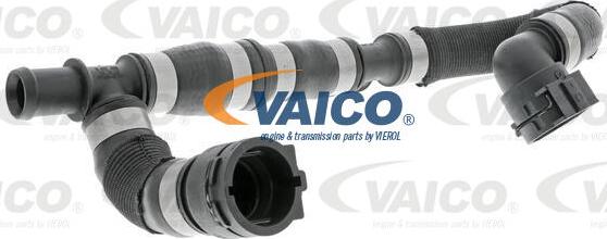 VAICO V10-4626 - Flessibile radiatore www.autoricambit.com