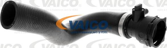 VAICO V10-4197 - Flessibile radiatore www.autoricambit.com