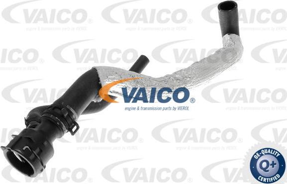 VAICO V10-4863 - Flessibile radiatore www.autoricambit.com