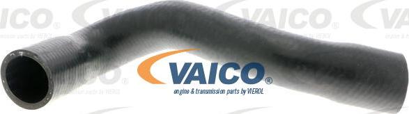 VAICO V10-4815 - Flessibile radiatore www.autoricambit.com