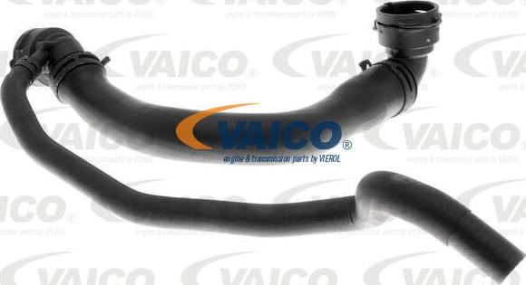 VAICO V10-4367 - Flessibile radiatore www.autoricambit.com