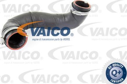 VAICO V10-4381 - Flessibile aria alimentazione www.autoricambit.com