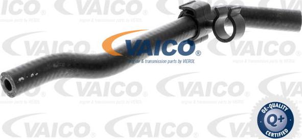 VAICO V10-4764 - Flessibile radiatore www.autoricambit.com