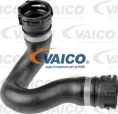 VAICO V10-5531 - Flessibile radiatore www.autoricambit.com