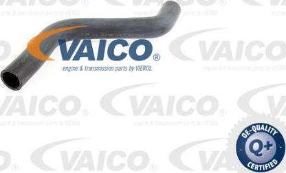 VAICO V10-0060 - Flessibile radiatore www.autoricambit.com