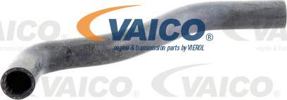 VAICO V10-0061 - Flessibile radiatore www.autoricambit.com