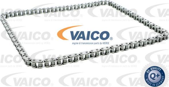 VAICO V10-3343 - Catena distribuzione www.autoricambit.com
