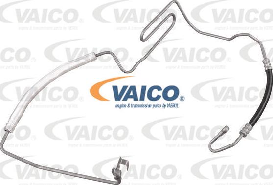 VAICO V10-1134 - Flessibile idraulica, Sterzo www.autoricambit.com