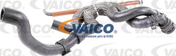 VAICO V10-3910 - Flessibile radiatore www.autoricambit.com