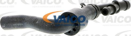 VAICO V10-3912 - Flessibile radiatore www.autoricambit.com