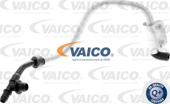 VAICO V10-3616 - Flessibile depressione, Sistema frenante www.autoricambit.com