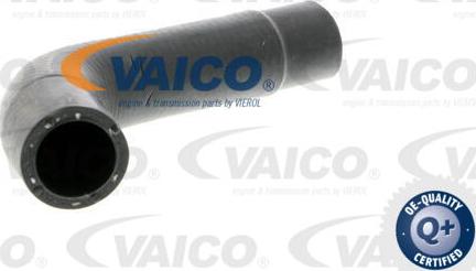VAICO V10-3202 - Flessibile radiatore www.autoricambit.com