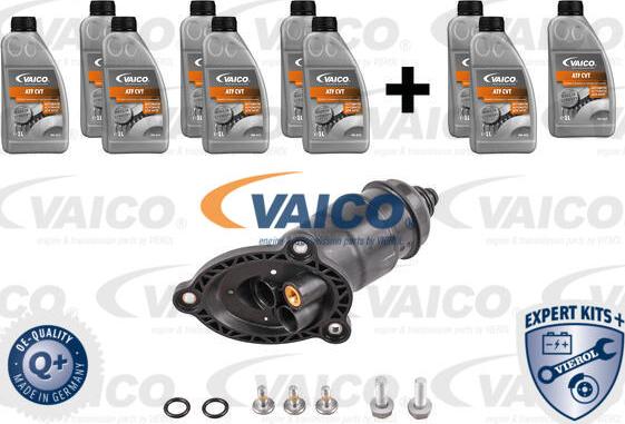 VAICO V10-3231-XXL - Kit componenti, Cambio olio-Cambio automatico www.autoricambit.com
