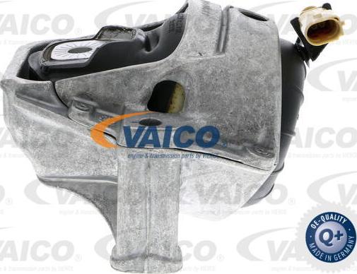 VAICO V10-3755 - Sospensione, Motore www.autoricambit.com