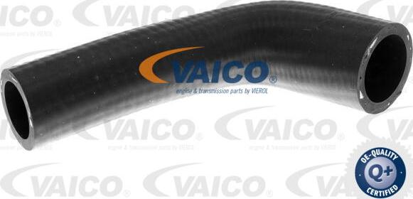 VAICO V10-2804 - Flessibile radiatore www.autoricambit.com