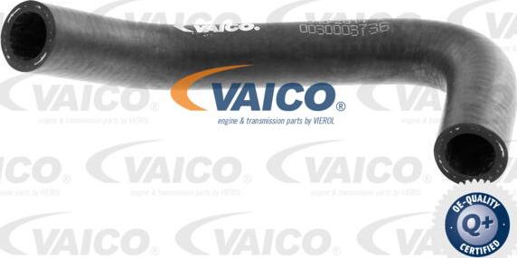 VAICO V10-2814 - Flessibile radiatore www.autoricambit.com