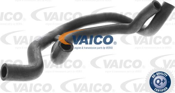 VAICO V10-2821 - Flessibile radiatore www.autoricambit.com